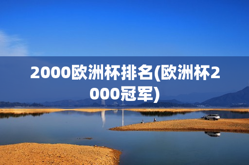 2000欧洲杯排名(欧洲杯2000冠军)