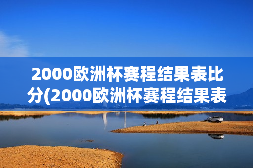 2000欧洲杯赛程结果表比分(2000欧洲杯赛程结果表比分查询)