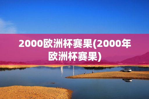 2000欧洲杯赛果(2000年欧洲杯赛果)