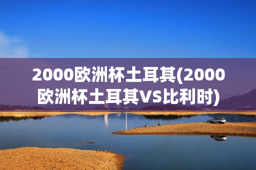 2000欧洲杯土耳其(2000欧洲杯土耳其VS比利时)