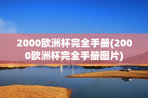 2000欧洲杯完全手册(2000欧洲杯完全手册图片)