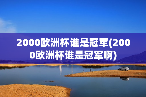 2000欧洲杯谁是冠军(2000欧洲杯谁是冠军啊)