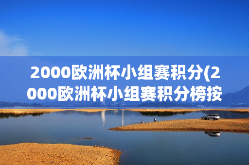 2000欧洲杯小组赛积分(2000欧洲杯小组赛积分榜按)