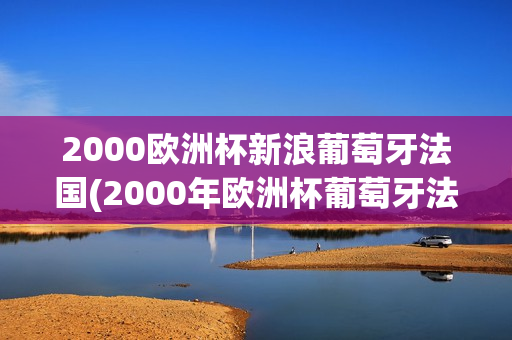 2000欧洲杯新浪葡萄牙法国(2000年欧洲杯葡萄牙法国)