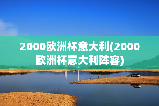 2000欧洲杯意大利(2000欧洲杯意大利阵容)