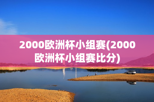 2000欧洲杯小组赛(2000欧洲杯小组赛比分)