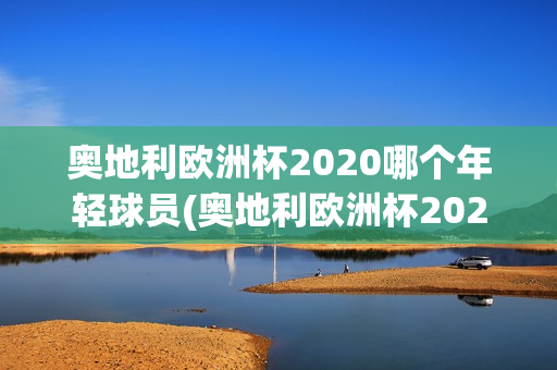 奥地利欧洲杯2020哪个年轻球员(奥地利欧洲杯2020哪个年轻球员参加)