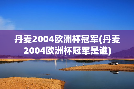 丹麦2004欧洲杯冠军(丹麦2004欧洲杯冠军是谁)