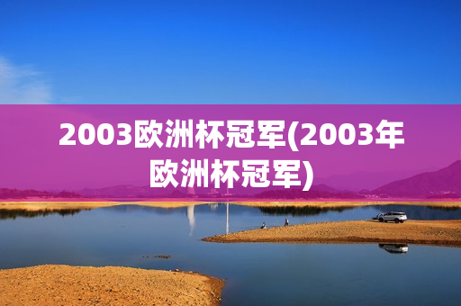 2003欧洲杯冠军(2003年欧洲杯冠军)