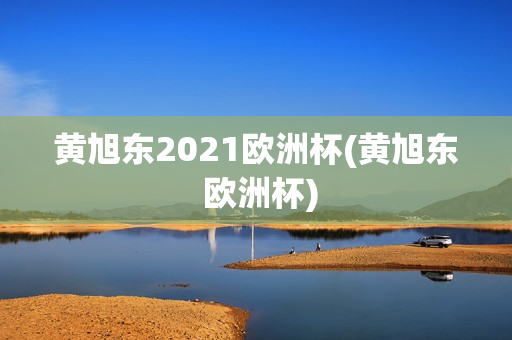 黄旭东2021欧洲杯(黄旭东 欧洲杯)