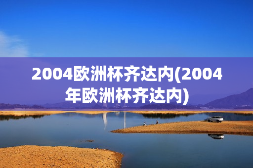 2004欧洲杯齐达内(2004年欧洲杯齐达内)