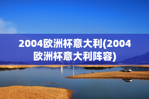 2004欧洲杯意大利(2004欧洲杯意大利阵容)