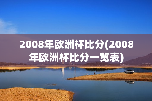 2008年欧洲杯比分(2008年欧洲杯比分一览表)