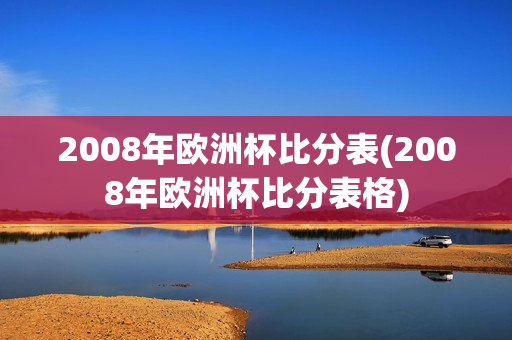 2008年欧洲杯比分表(2008年欧洲杯比分表格)