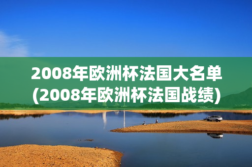 2008年欧洲杯法国大名单(2008年欧洲杯法国战绩)