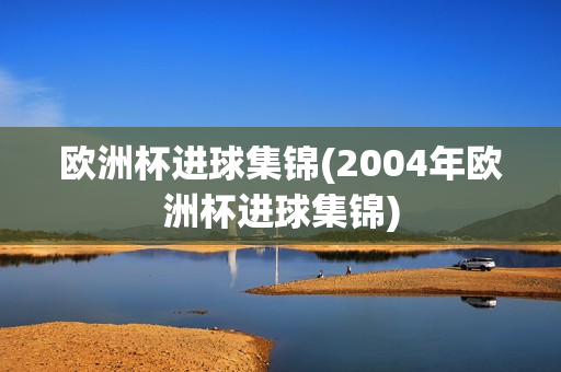 欧洲杯进球集锦(2004年欧洲杯进球集锦)