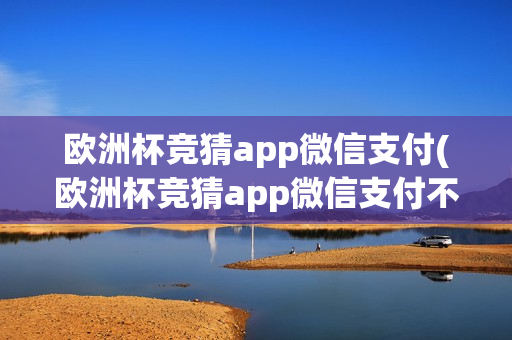 欧洲杯竞猜app微信支付(欧洲杯竞猜app微信支付不了)