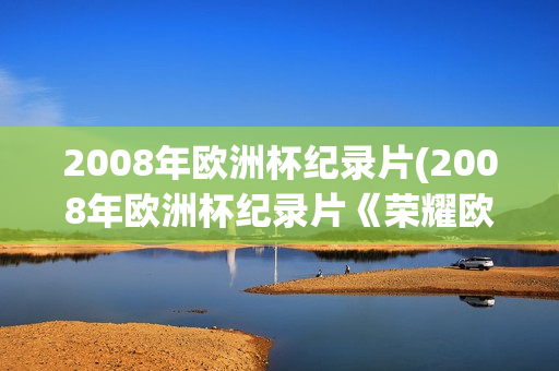 2008年欧洲杯纪录片(2008年欧洲杯纪录片《荣耀欧洲》)