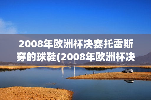 2008年欧洲杯决赛托雷斯穿的球鞋(2008年欧洲杯决赛托雷斯穿的球鞋是什么)