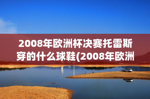 2008年欧洲杯决赛托雷斯穿的什么球鞋(2008年欧洲杯决赛托雷斯穿的什么球鞋啊)